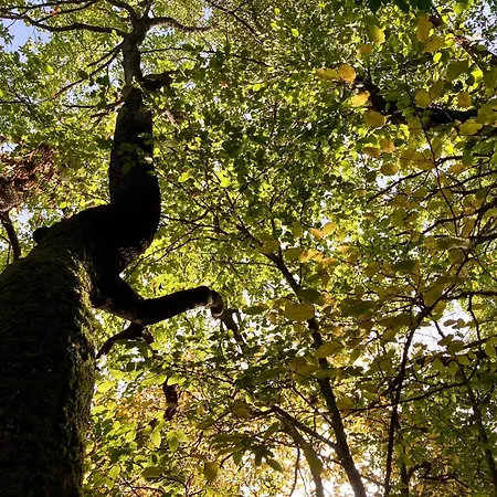 Oasi Acquafresca 住宿加早餐酒店 3*