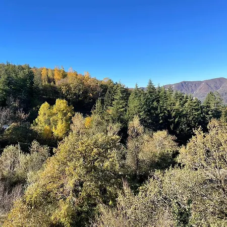 住宿加早餐酒店 Oasi Acquafresca 3*