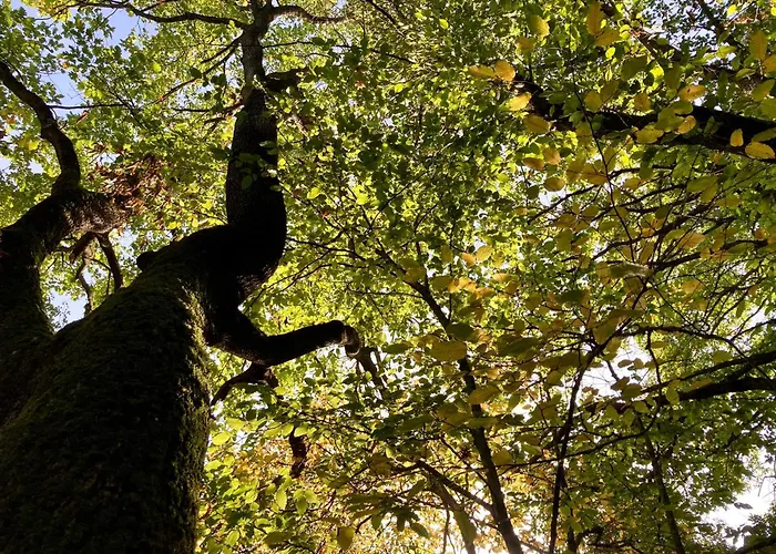 Oasi Acquafresca לינה וארוחת בוקר 3*