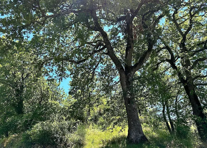 Bed & Breakfast Oasi Acquafresca